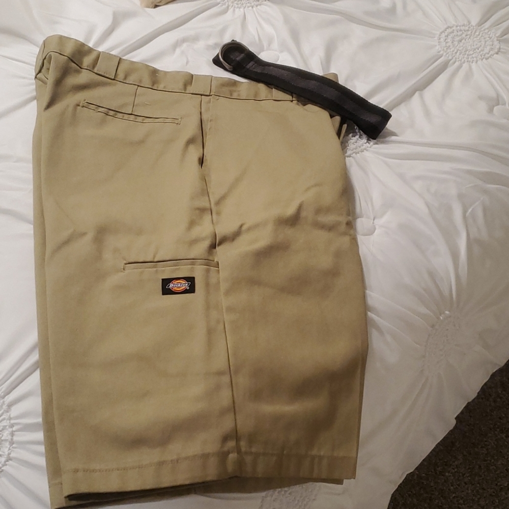 Dickies shorts never worn
